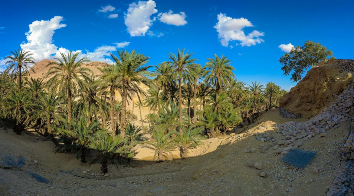 Acuvue Oasys - Profesjonalne Soczewki Kontaktowe Miesięczne dla Twojego Wzroku - ilustracja artykulu