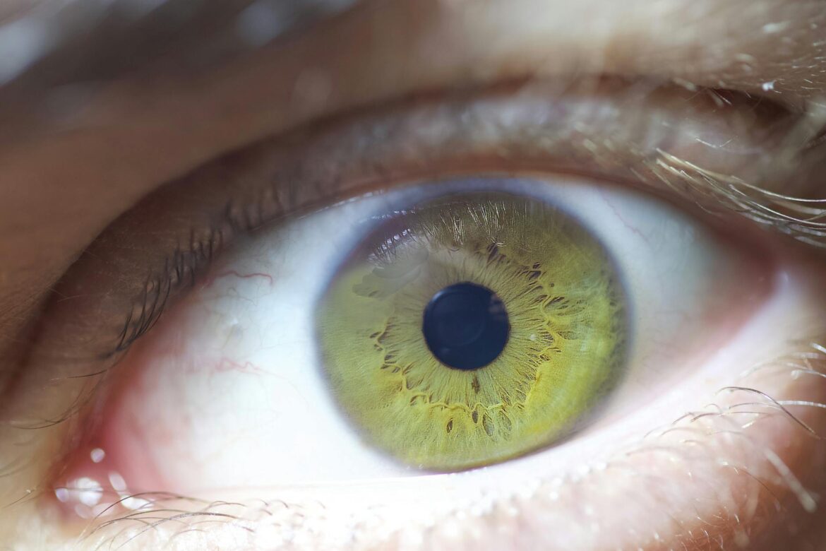 Soczewki toryczne miesięczne – jak wybrać najlepszy model dla swoich oczu - ilustracja artykulu